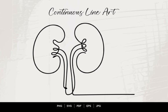 A Designer's Practical Look at Kidneys Anatomy Line Art for Embroidery