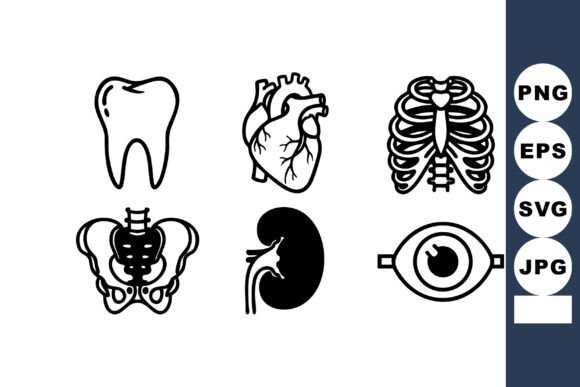 Reviewing the Human Anatomy Icons Set for Embroidery