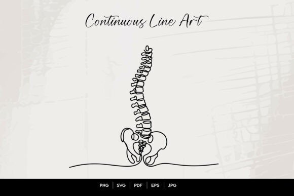 Spine Anatomy Line Art: A Versatile Embroidery Design