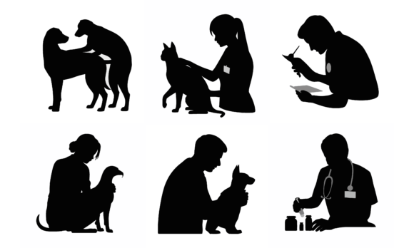 Vet Silhouettes: A Design Review for Embroidery